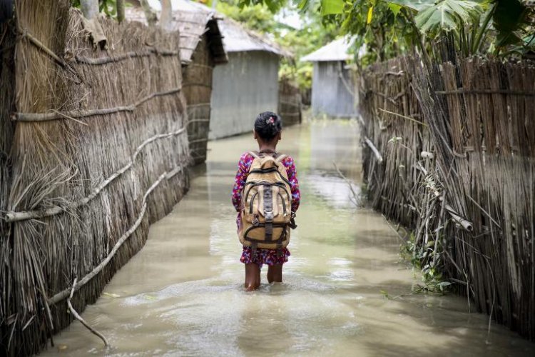 Climate refugees from Bangladesh and India's Concerns