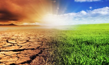 In the Battle against Climate Change, Ignorance is not Bliss; it's the Storm before the Storm