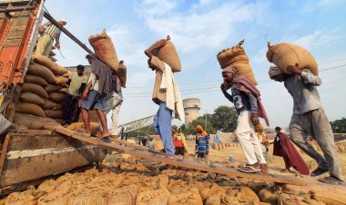 Climate Change and India's Geopolitical Advantage in Global Food Trade: Challenges and Strategies