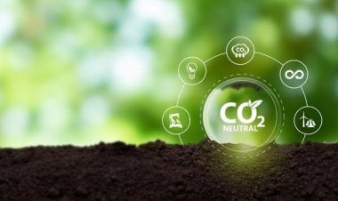 India's Green dream for a sustainable future: An ambitious roadmap towards carbon neutrality