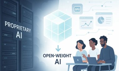 The Perils of Open Weight AI Models