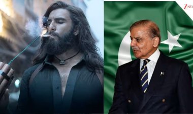 The Architecture of Assertion: How Dhurandhar Built a Narrative for a New Superpower