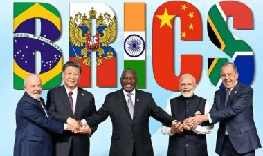 Brick by Brick: India and BRICS
