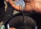 The Price of Heavy Metals: Mercury, Lead, and the Making of a Human Security Crisis