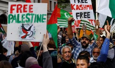 Cross-Theatre Operational Learning and the Security of Kashmir